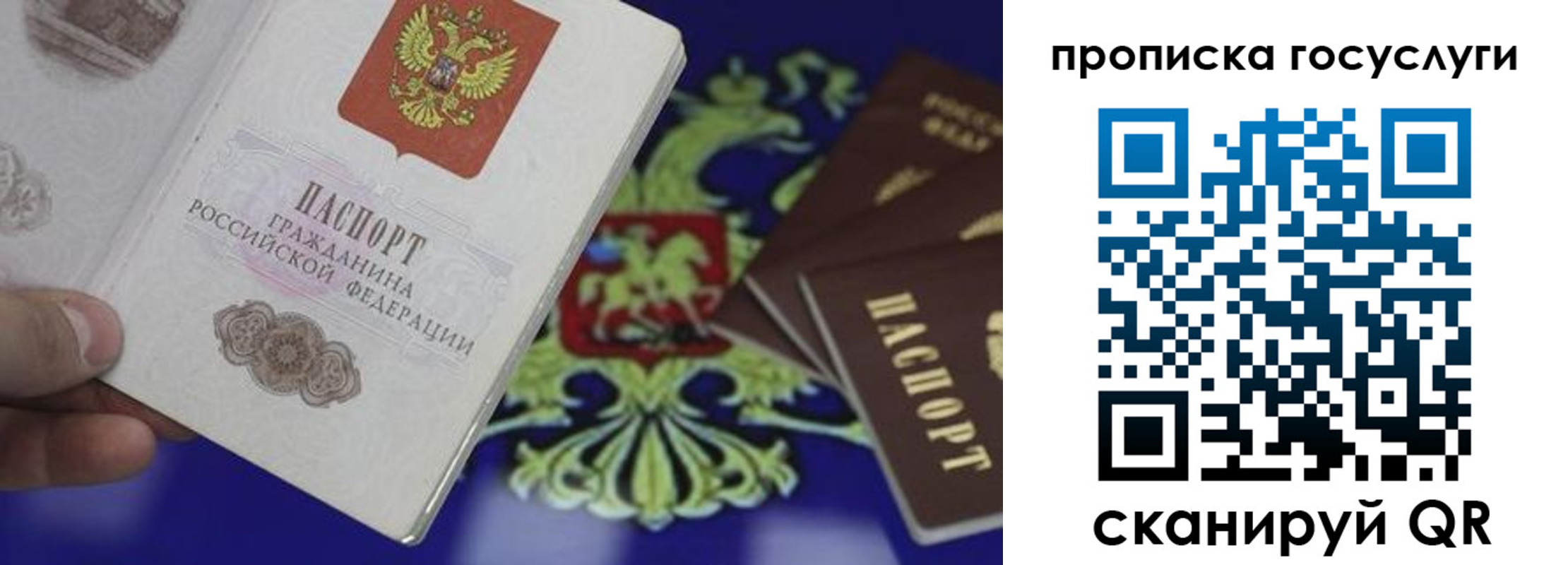прописка для школы в Таганроге